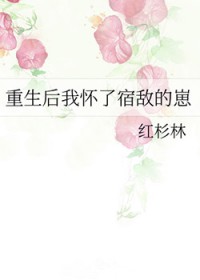 重生后我怀了宿敌的崽