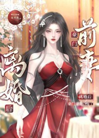 离婚后,豪门O后悔了